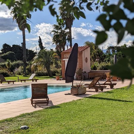 "Mas Tramontane "Chambres D'Hotes Et Studio Avec Piscine Dans Parc Arbore Ille-sur-Têt Exteriér fotografie