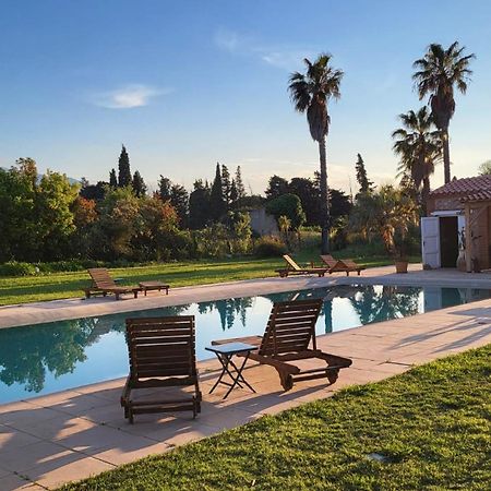 "Mas Tramontane "Chambres D'Hotes Et Studio Avec Piscine Dans Parc Arbore Ille-sur-Têt Exteriér fotografie