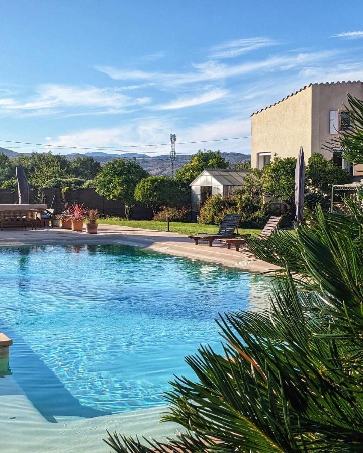 "Mas Tramontane "Chambres D'Hotes Et Studio Avec Piscine Dans Parc Arbore Ille-sur-Têt Exteriér fotografie