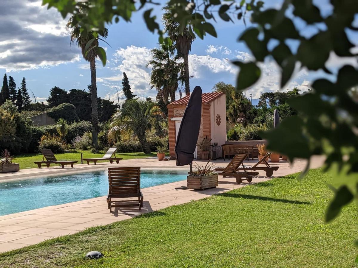 "Mas Tramontane "Chambres D'Hotes Et Studio Avec Piscine Dans Parc Arbore Ille-sur-Têt Exteriér fotografie