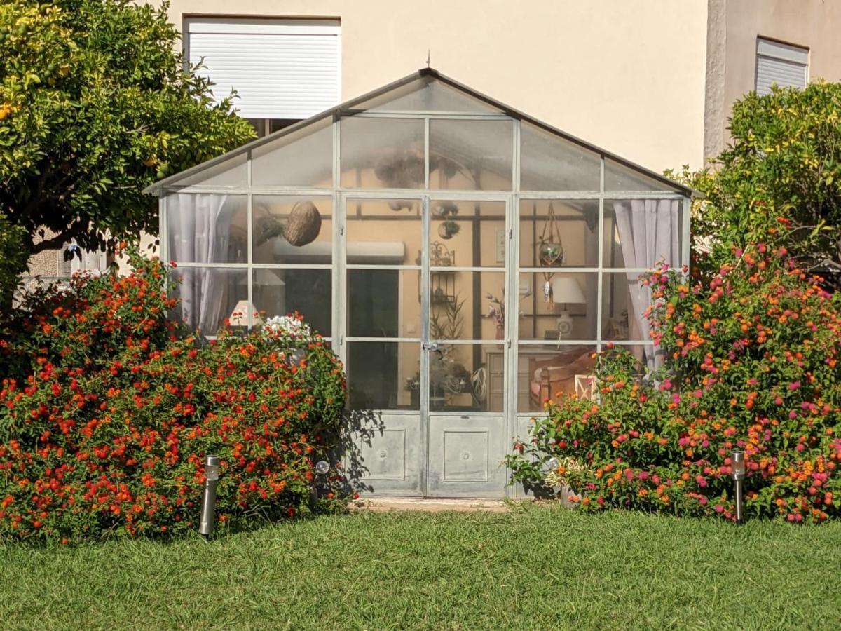 "Mas Tramontane "Chambres D'Hotes Et Studio Avec Piscine Dans Parc Arbore Ille-sur-Têt Exteriér fotografie