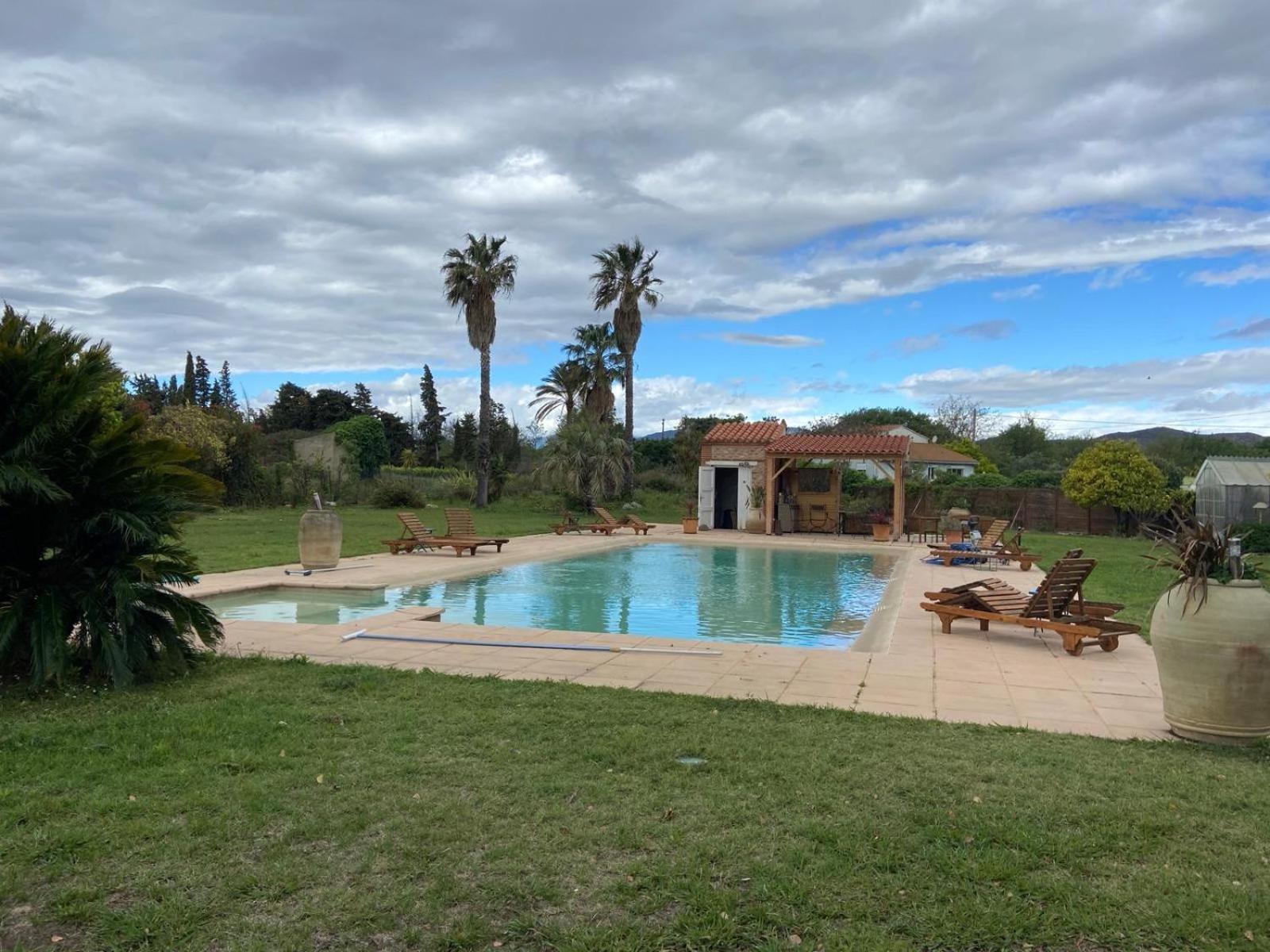 "Mas Tramontane "Chambres D'Hotes Et Studio Avec Piscine Dans Parc Arbore Ille-sur-Têt Exteriér fotografie